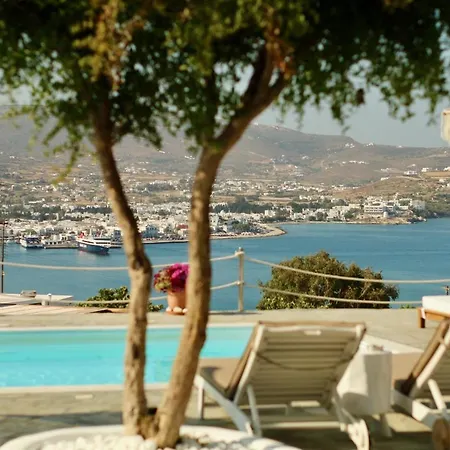 Blue Bay Heliolithos